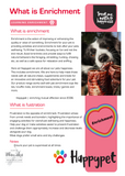 What Is Enrichment?