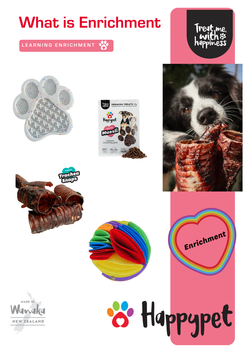 What Is Enrichment?