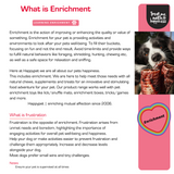 Happypet Snuffle Seeker | Enrichment