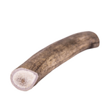 Medium Deer Antler - Dog Treat/Chew