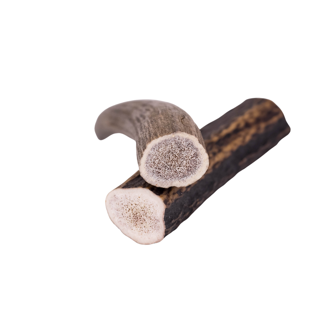 Small 2 Pack Deer Antler - Dog Treat/Chew