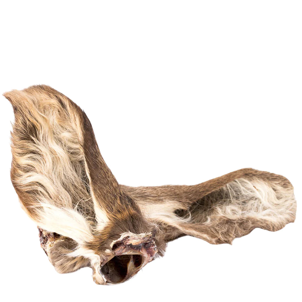 Deer Ear - Natural Dog Chew