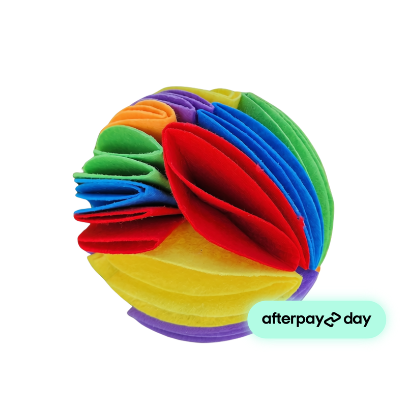 Happypet Snuffle Seeker | Enrichment