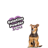 Happypet Deer Gelatine Powder 60g