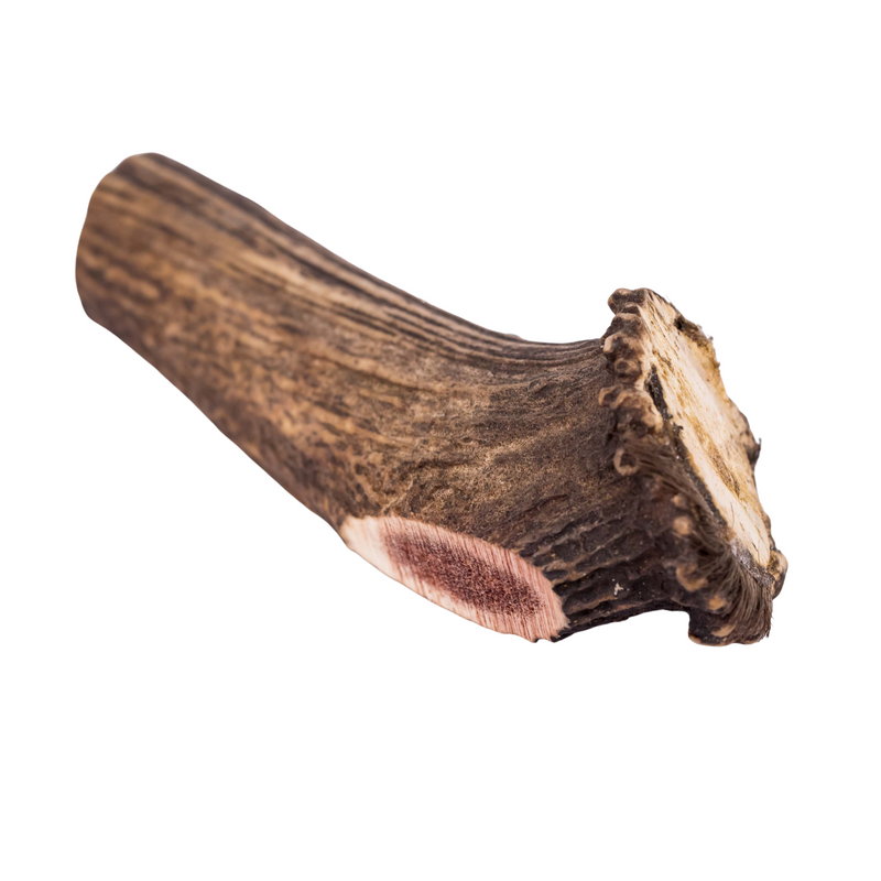 Large Deer Antler - Dog Treat/Chew
