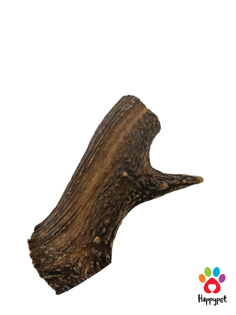 Medium Deer Antler - Dog Treat/Chew